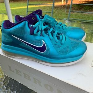 Lebron low hornets 9